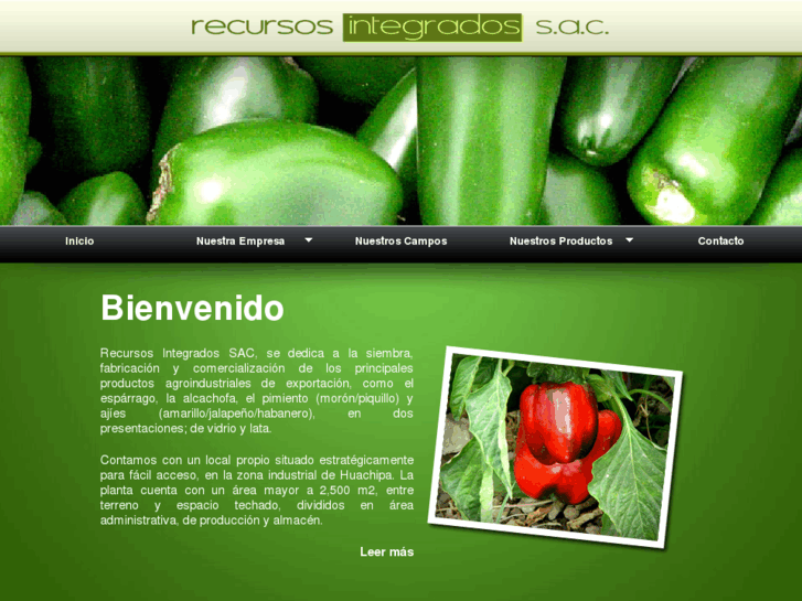 www.recursosintegrados.com.pe