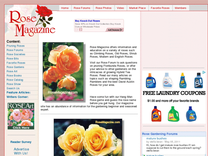 www.rosemagazine.com