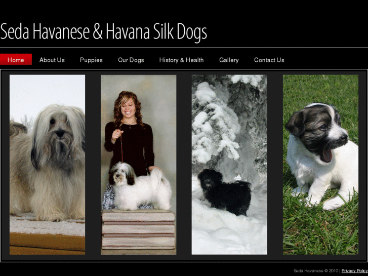 www.sedahavanese.com