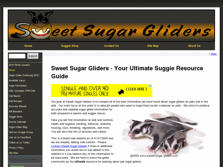 www.sweet-sugar-glider.com