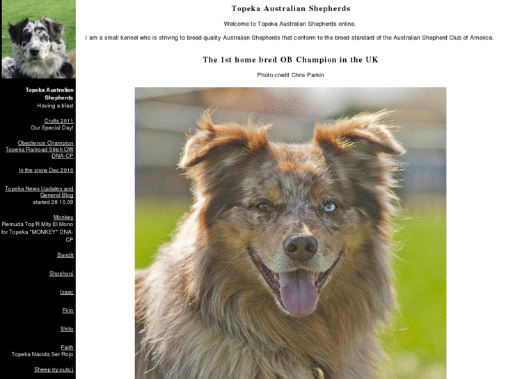 www.topekaaustralianshepherds.com