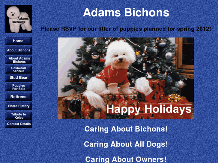 www.adamsbichons.com