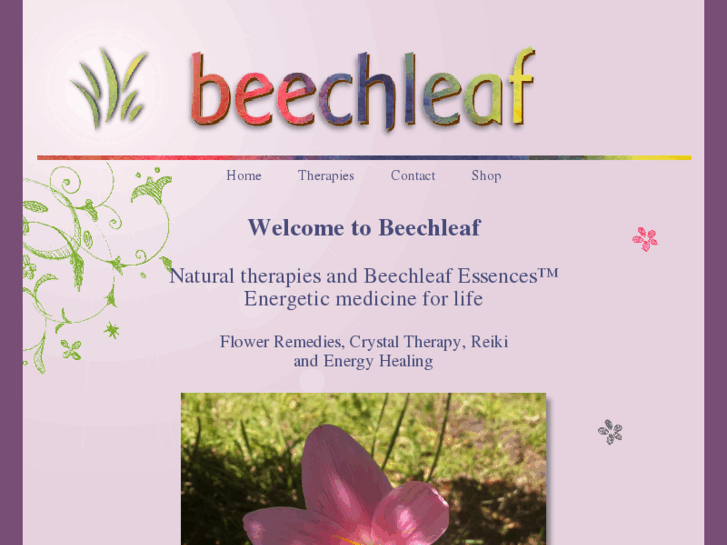 www.beechleaf.co.uk