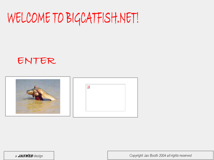 www.bigcatfish.net
