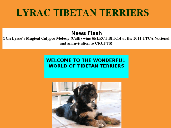 www.lyractibetanterriers.com