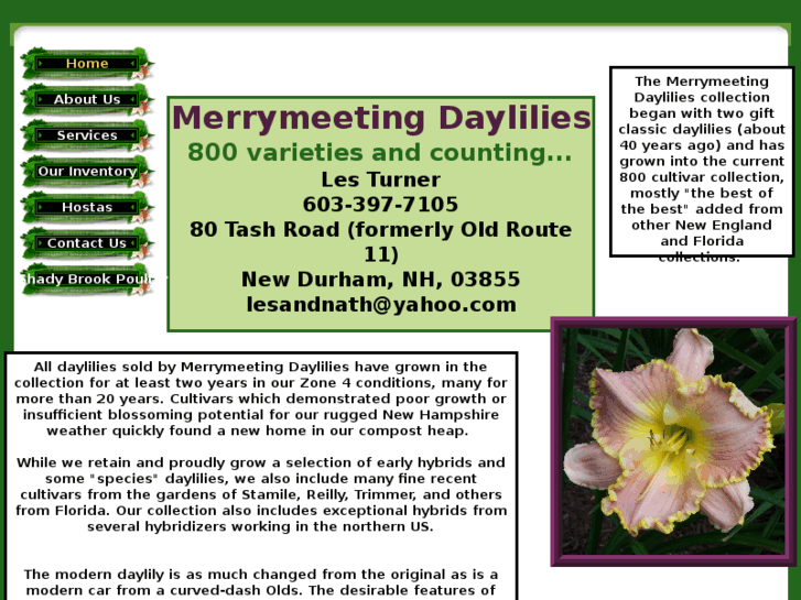 www.merrymeetingdaylilies.com