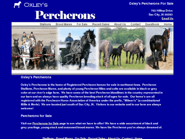 www.oxleyspercherons.com