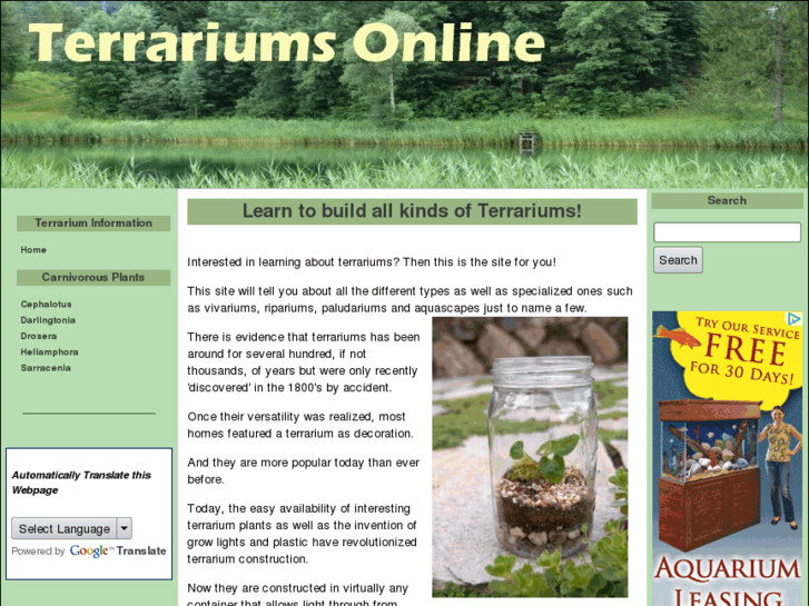 www.terrariums-online.com