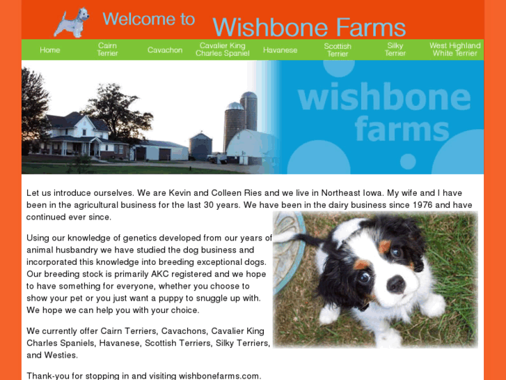 www.wishbonefarms.com