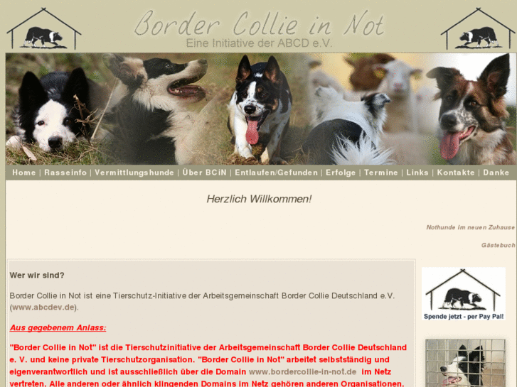 www.bordercollie-in-not.de