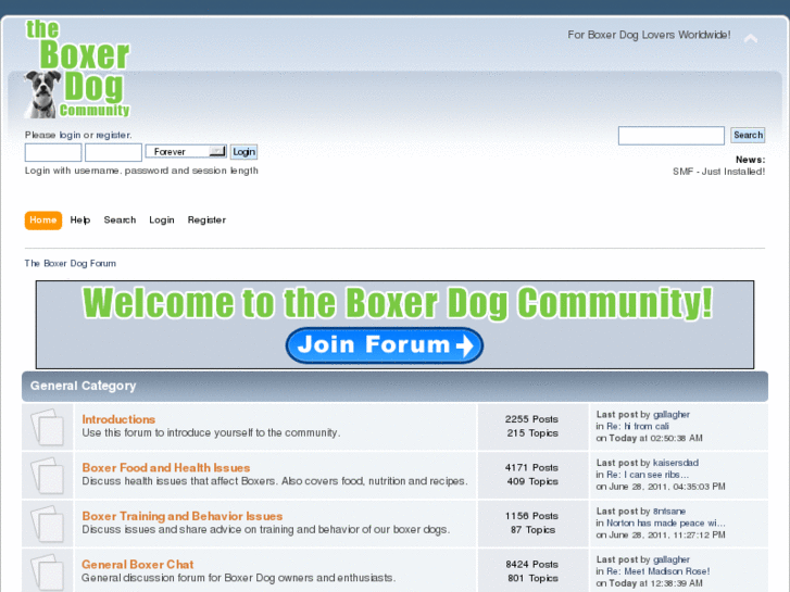 www.boxerdogforums.com