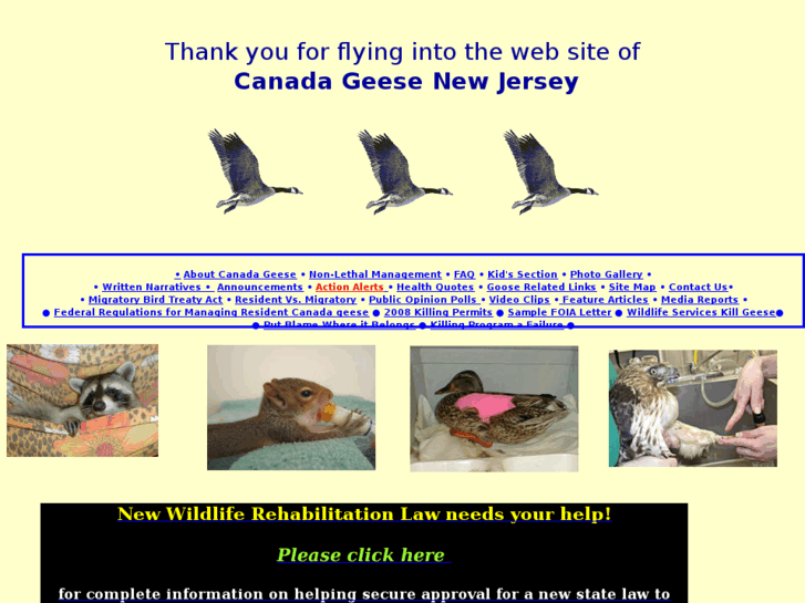 www.canadageesenewjersey.com