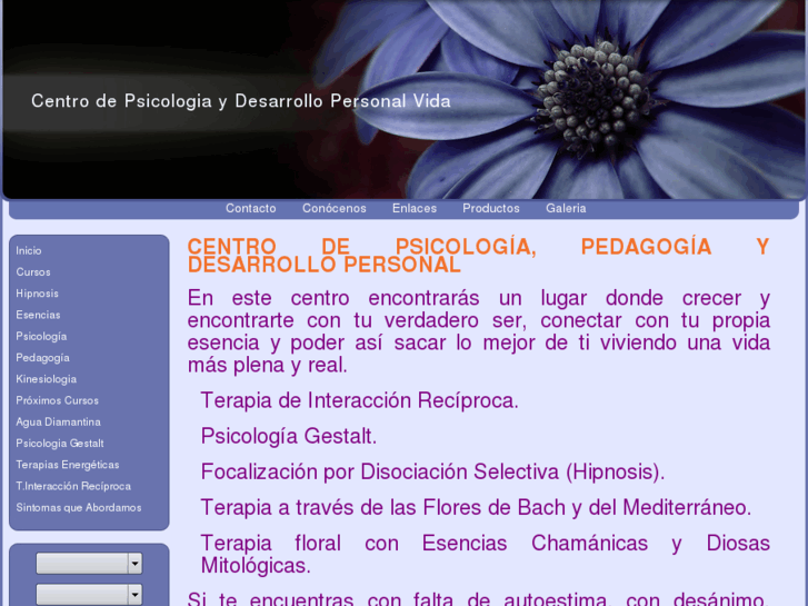 www.centrodepsicologiavida.es