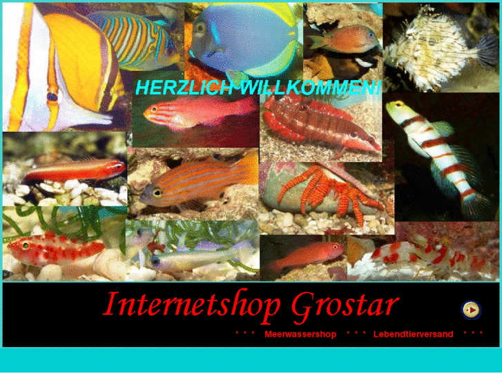 www.grostar-aquaristik.com