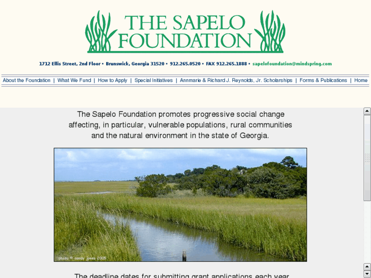 www.sapelofoundation.org