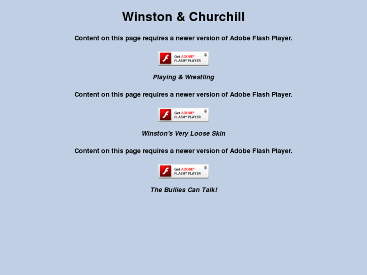 www.winstonandchurchill.com