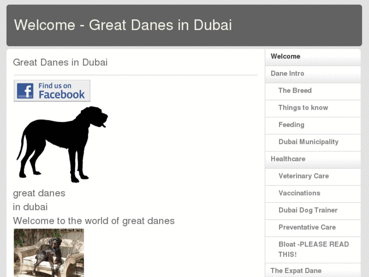 www.greatdanesindubai.com