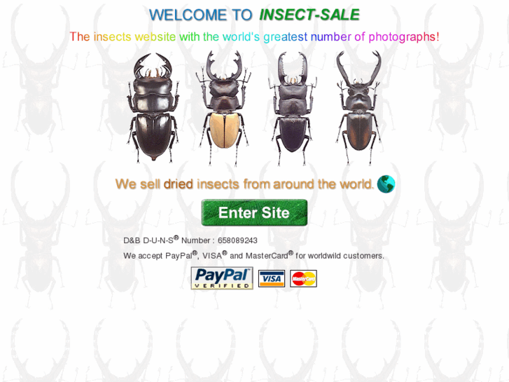 www.insects-sale.com