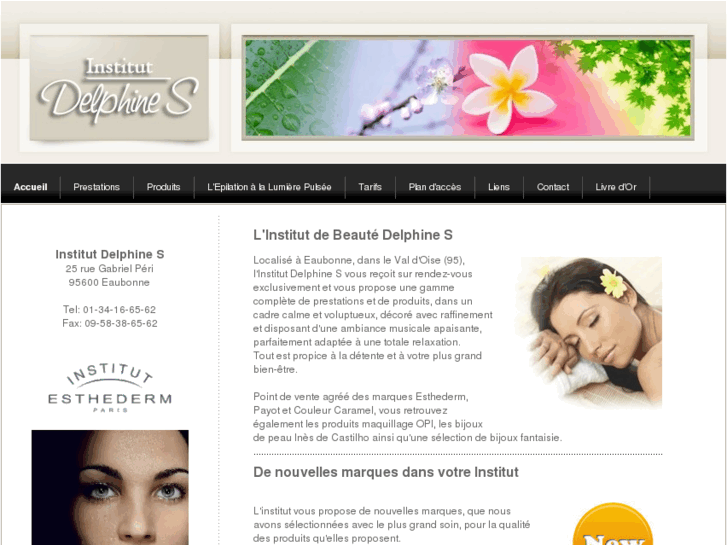 www.institut-delphines.com