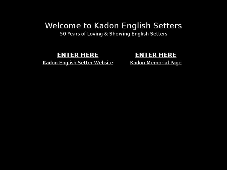 www.kadonenglishsetters.com