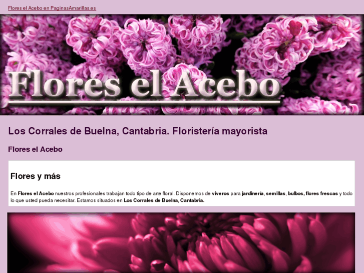 www.floreselacebo.com