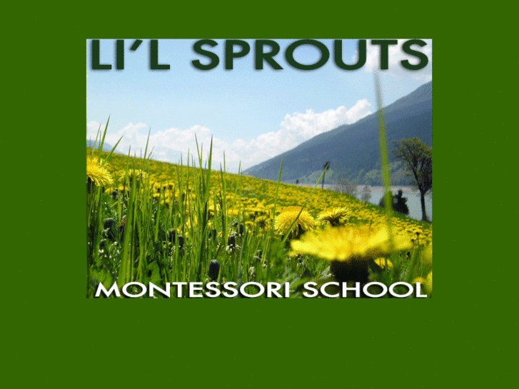 www.littlesproutsmontessori.com