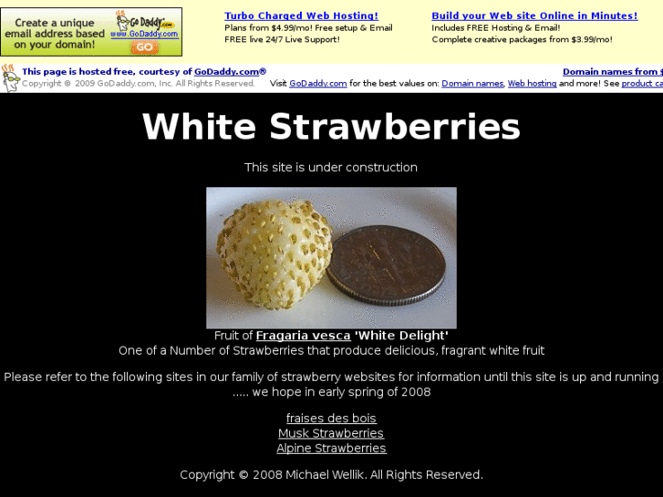 www.whitestrawberries.com