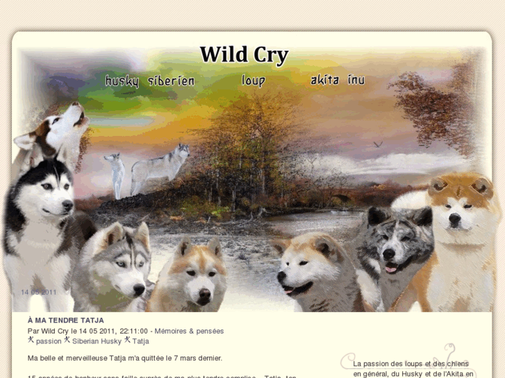 www.wildcry.org