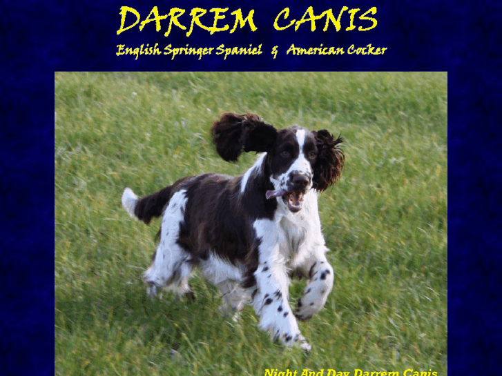 www.darremcanis.com