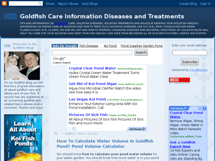 www.goldfishcareinformation.com