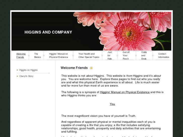 www.higginsandcompany.net