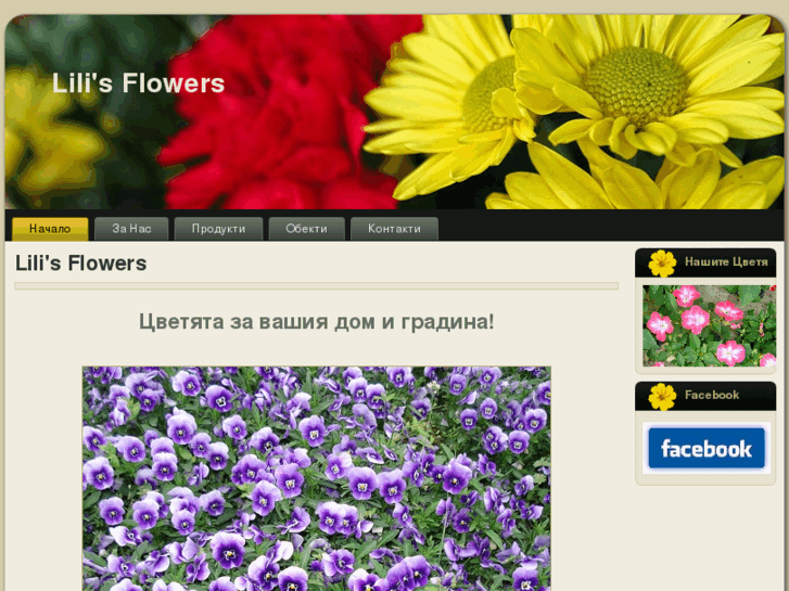 www.lilisflowers.com