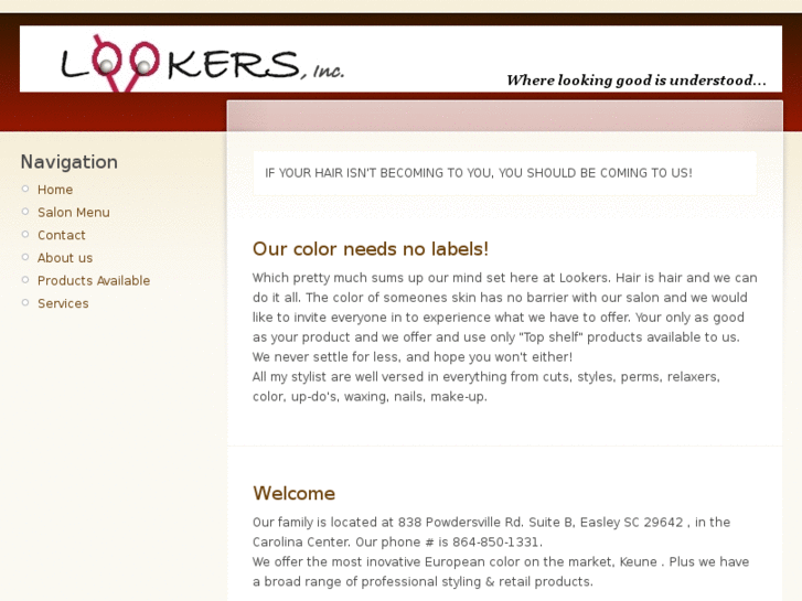 www.lookersincsalon.com