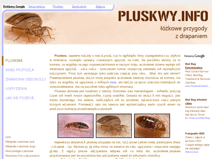 www.pluskwy.info