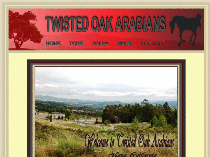 www.twistedoakarabians.com