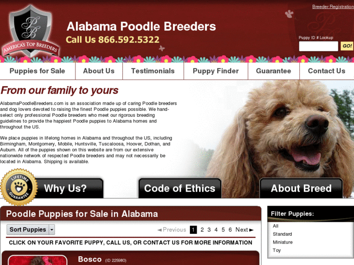 www.alabamapoodlebreeders.com