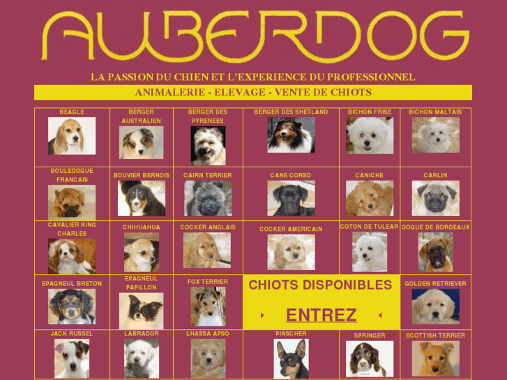 www.auberdog.com