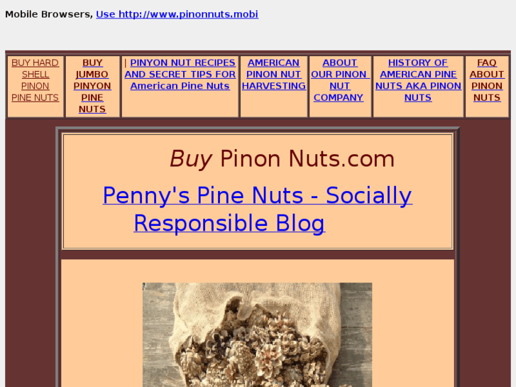 www.buypinonnuts.com