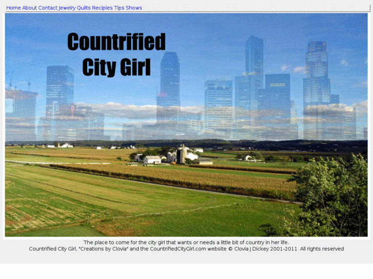 www.countrifiedcitygirl.com