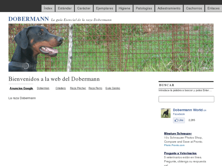 www.dobermans.es