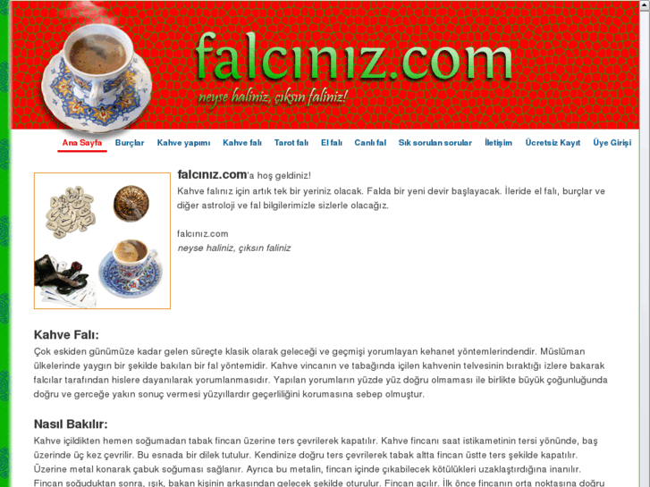 www.falciniz.com