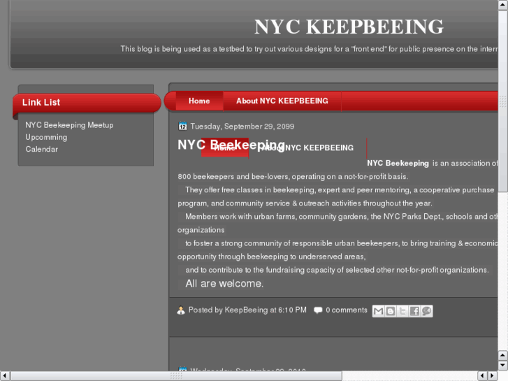 www.nyckeepbeeing.com