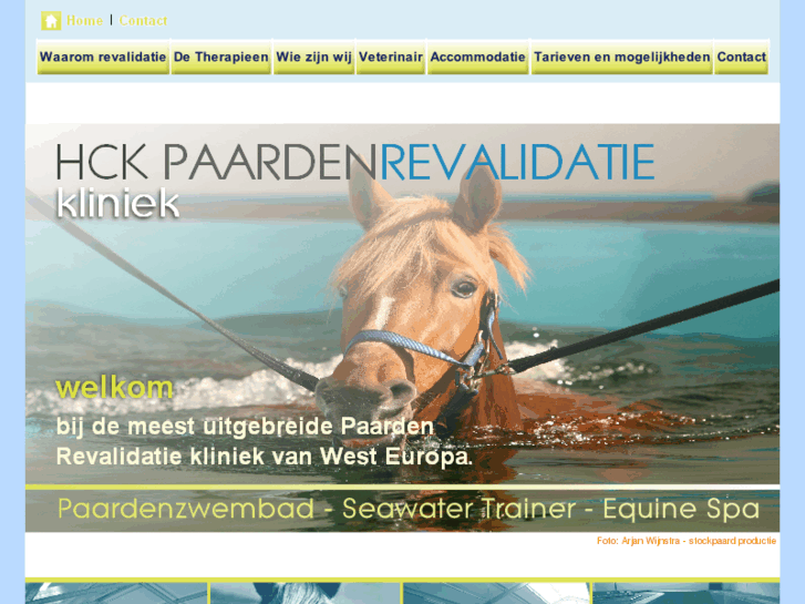 www.paardenzwembad.com