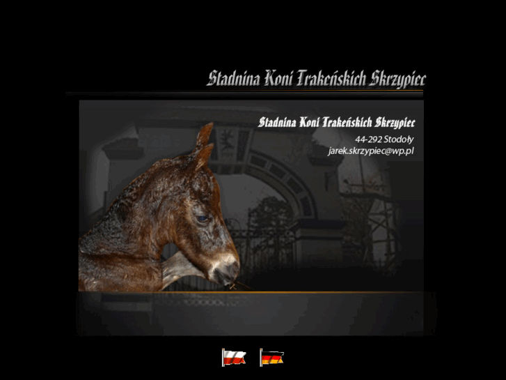 www.trakehner.net.pl