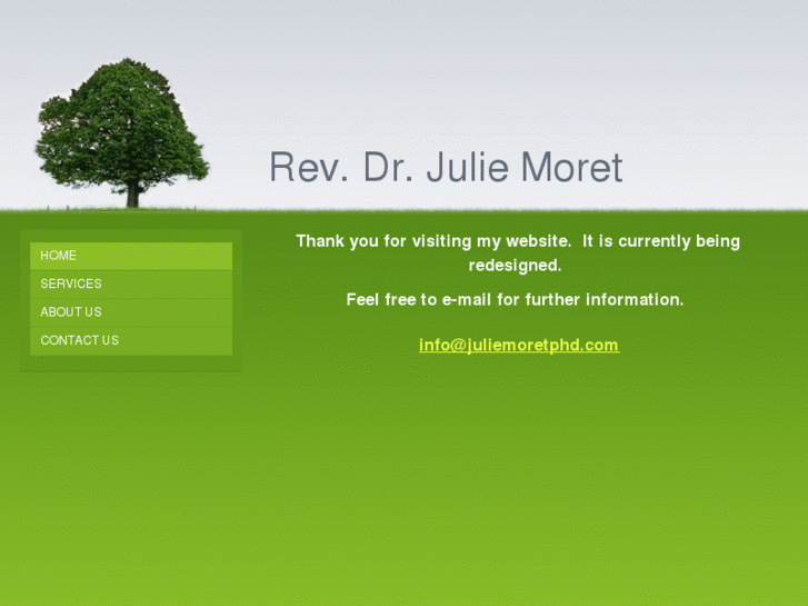 www.juliemoretphd.com