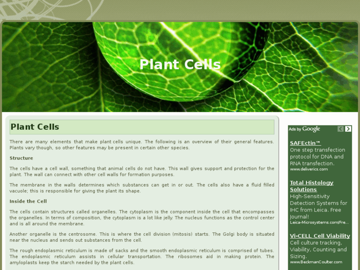 www.plantcells.net