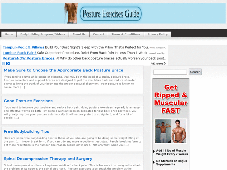 www.postureexercisesguide.com