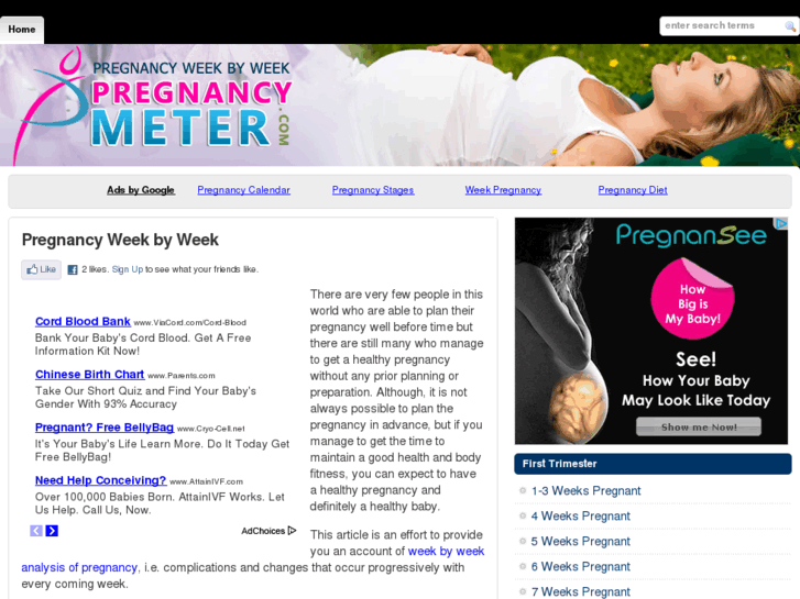 www.pregnancymeter.com