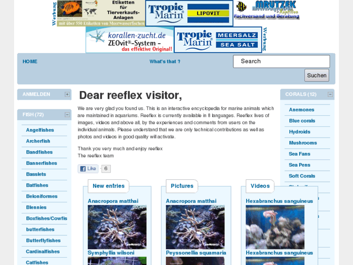 www.reeflex.org