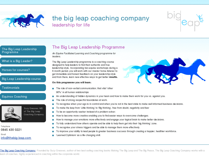 www.thebigleader.com